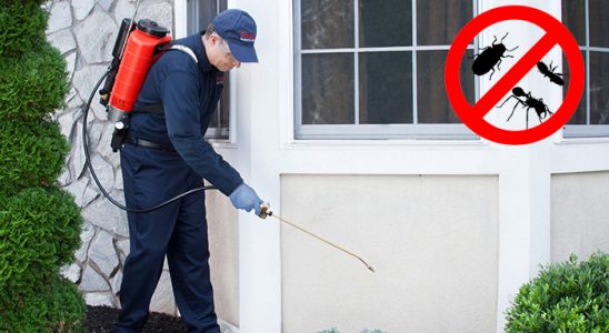Muğla Böcek ve Haşere İlaçlama böcek ilaçlama ve haşere kontrolü — ilaclama-tr.com